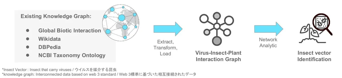 Summary of the idea