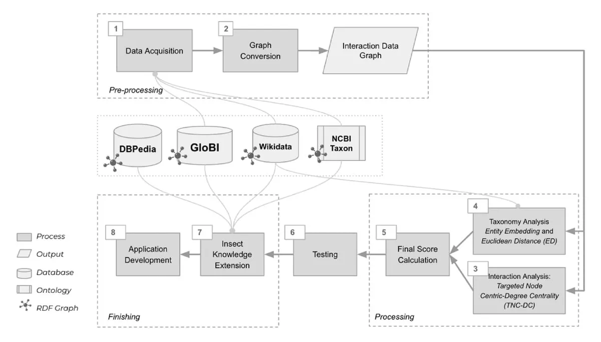 Research stages